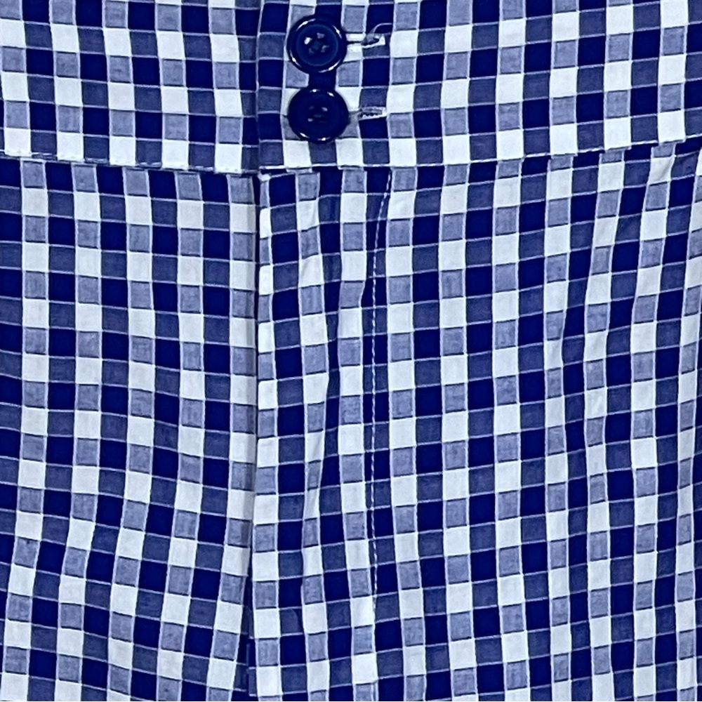 Unique Vintage 3X/20 Gingham Pattern High Rise Shorts in Blue and White. - Picture 12 of 16